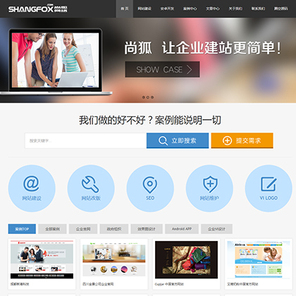 【Wlcms专业开发】网络公司网站模板_网络公司模板html万狼科技